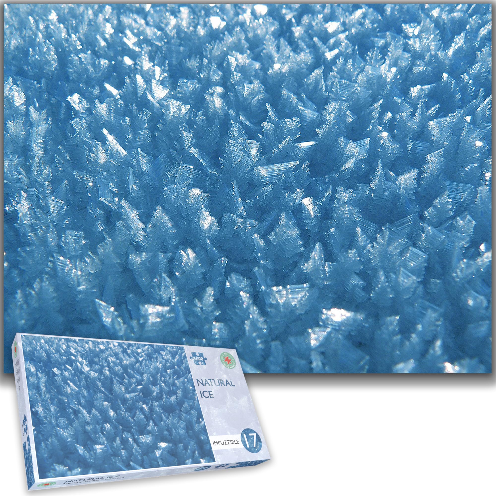 Amazon.com: 1000 Piece Natural Ice Jigsaw Puzzle Impossible